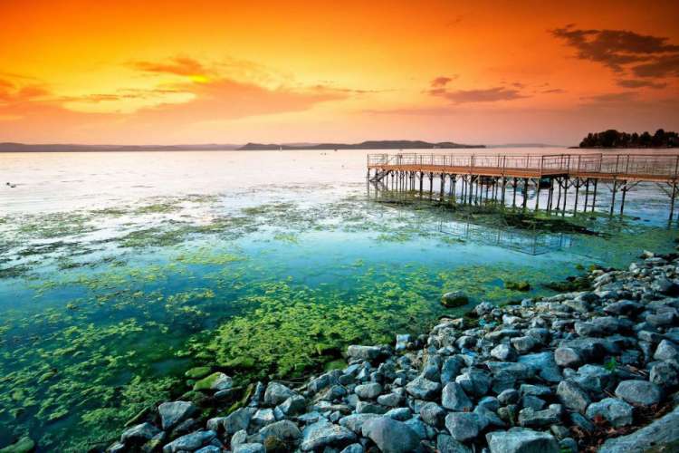 Invest in Lake Balaton