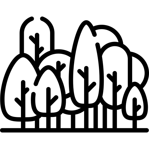 Erdő