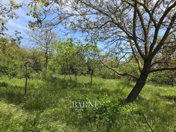 Terrain constructible Budaörs