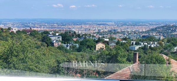 Newly built premium villa on Széchenyi Hill with panoramic view to Buda Castle and Gellért Hill