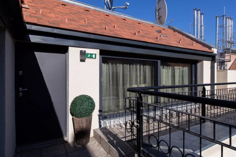 Modern Downtown Apartment with Roof Terrace