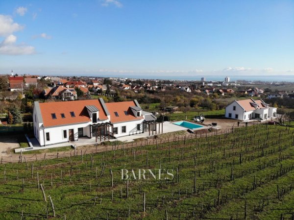 Property with a panorama, next to a grape arbor in Balatonfüred