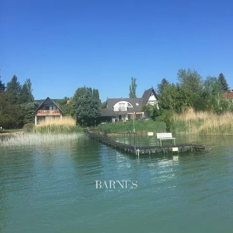 Exceptional Waterfront Property with Private Pier and Panoramic Views
