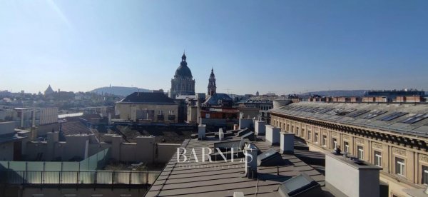 Downtown penthouse with a unique roof terrace and exceptional panoramic view