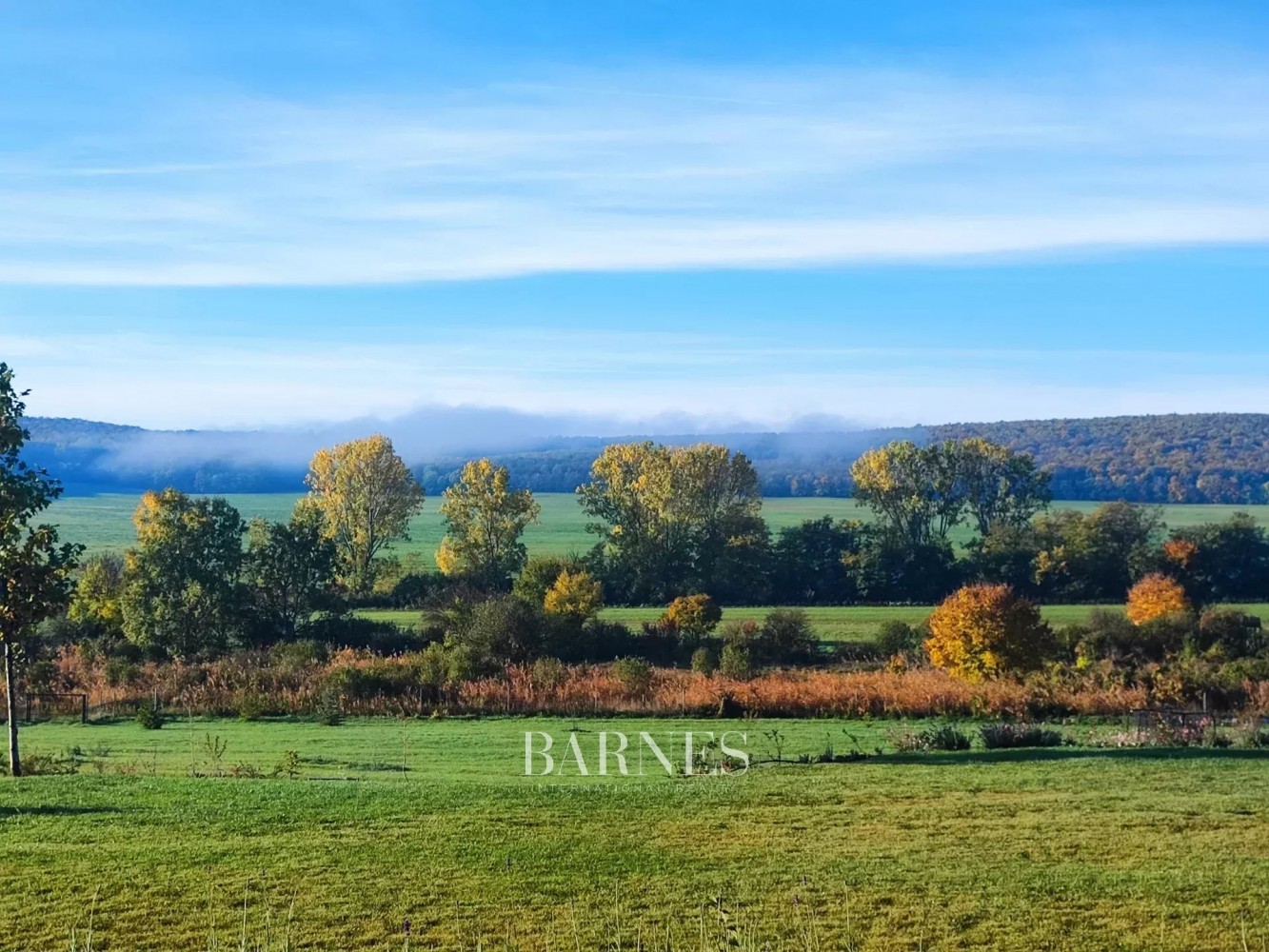 Magical Estate for Sale Embraced by Forest in Törökbálint - picture 14