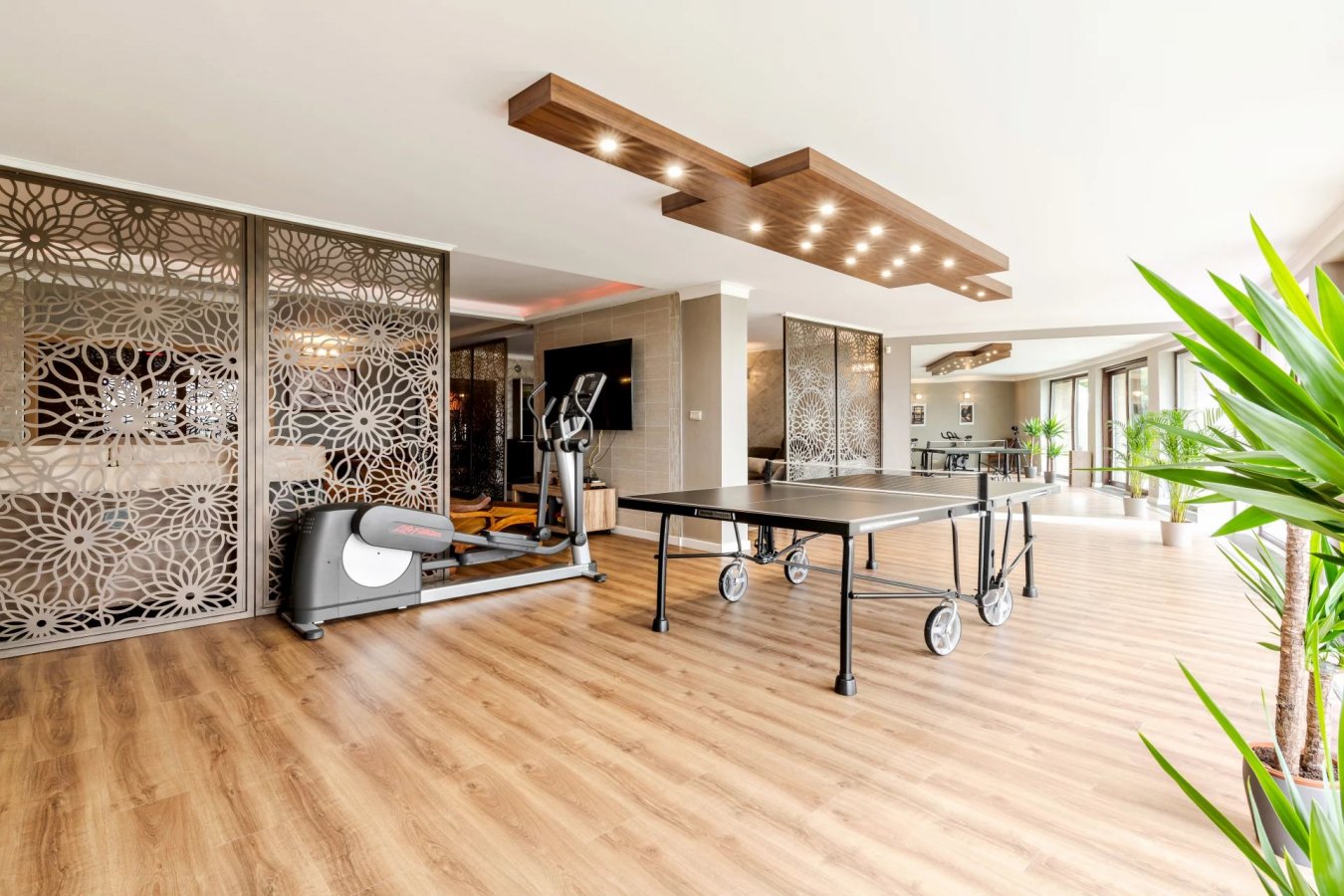 Villa Budaörs - picture 17