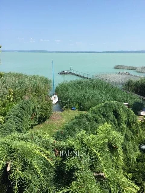 Exceptional Waterfront Property with Private Pier and Panoramic Views - picture 10