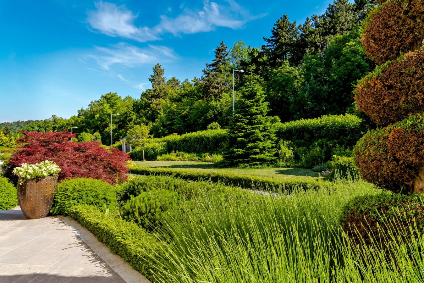 American-style Family Villa in II. District Budapest - picture 7