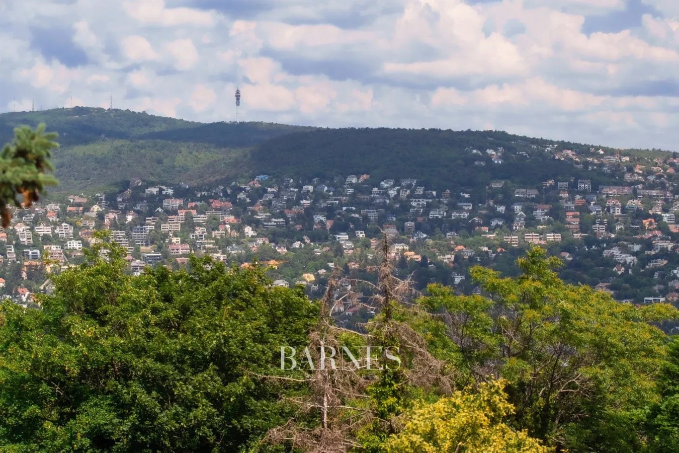 Classical panoramic family villa with exclusive Buda side location - picture 4