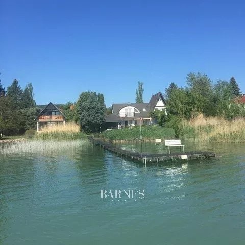 Exceptional Waterfront Property with Private Pier and Panoramic Views - picture 2